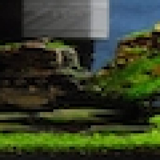 めだかのせかい